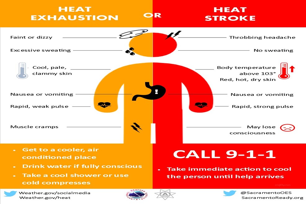 Heat Stroke and Heat Exhaustion: Know the Symptoms - Elite HomeCare